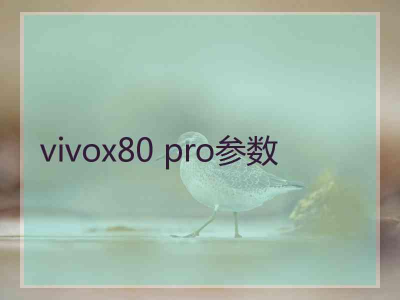 vivox80 pro参数