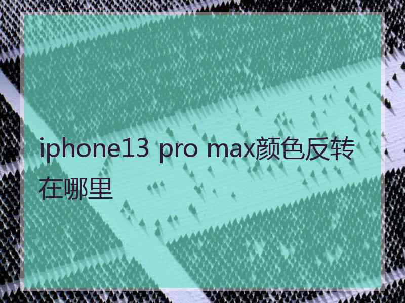 iphone13 pro max颜色反转在哪里