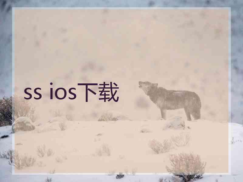 ss ios下载