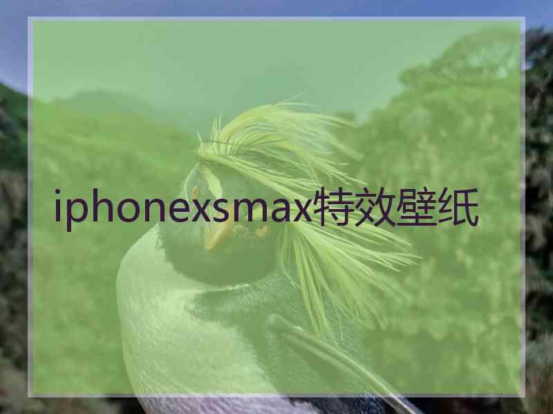 iphonexsmax特效壁纸