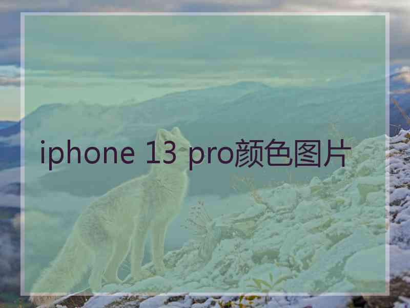 iphone 13 pro颜色图片