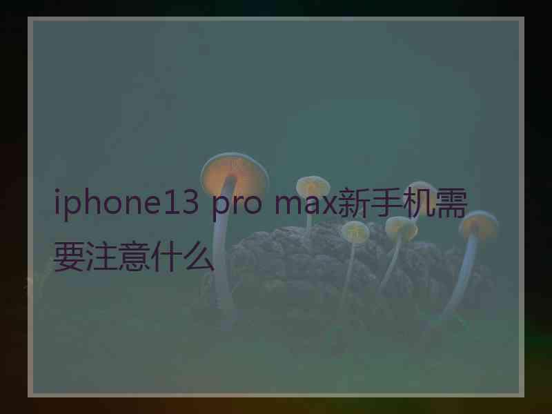 iphone13 pro max新手机需要注意什么