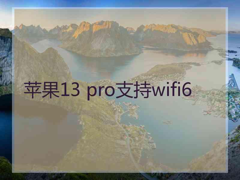 苹果13 pro支持wifi6