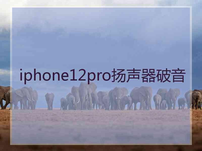 iphone12pro扬声器破音