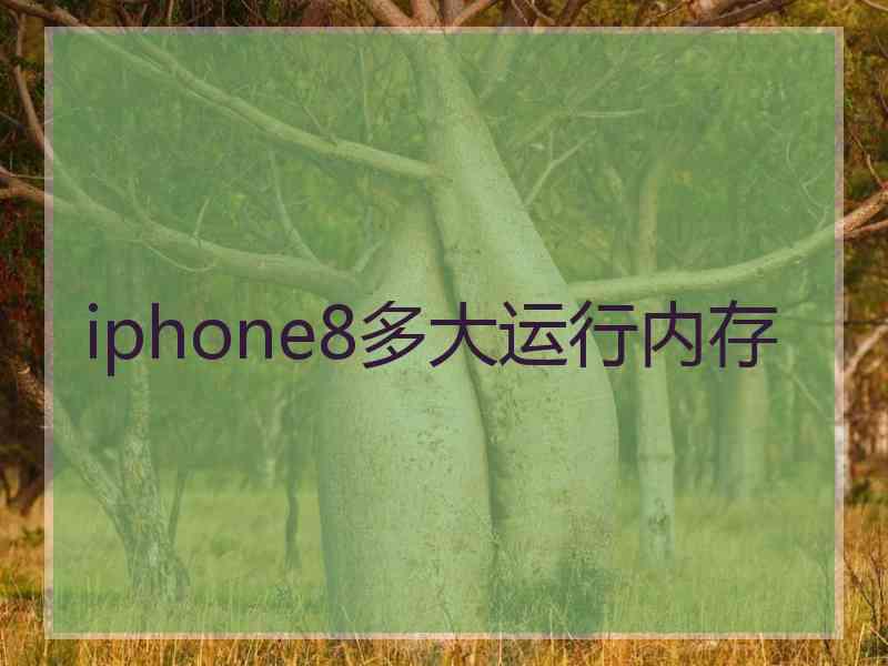 iphone8多大运行内存