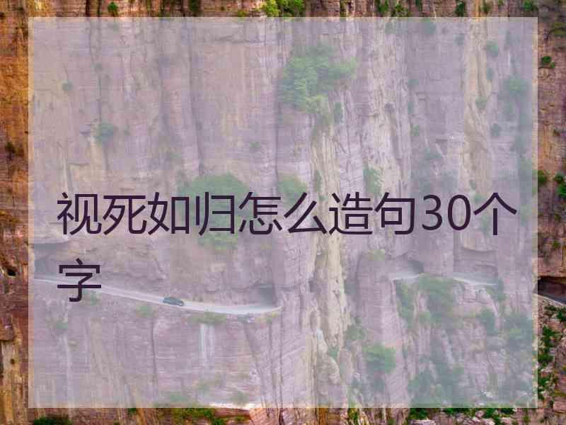 视死如归怎么造句30个字