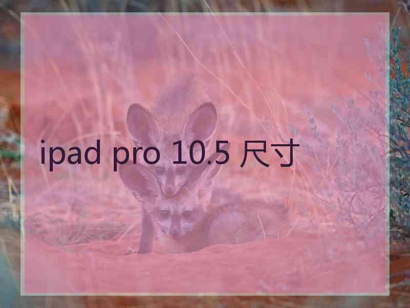 ipad pro 10.5 尺寸