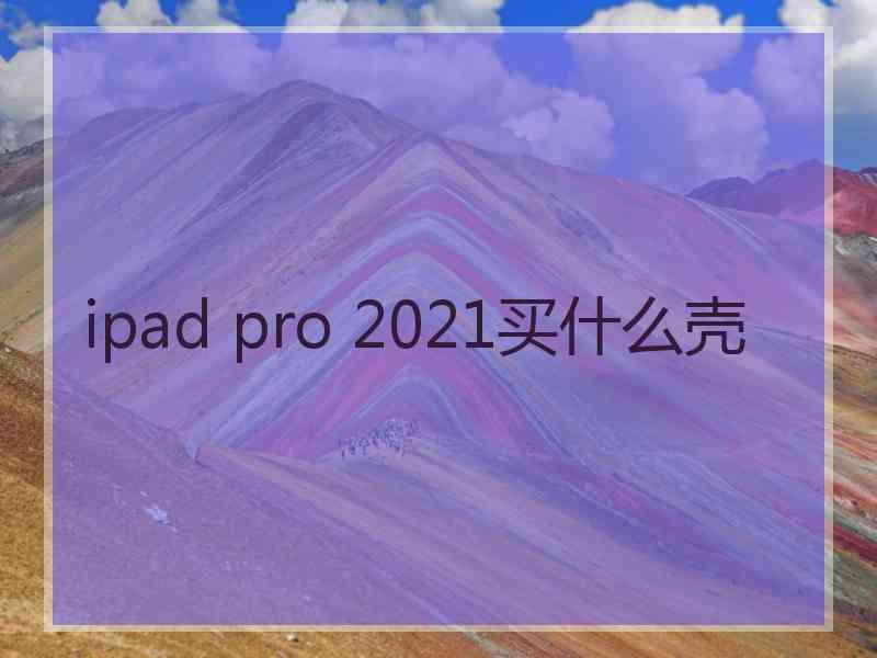 ipad pro 2021买什么壳