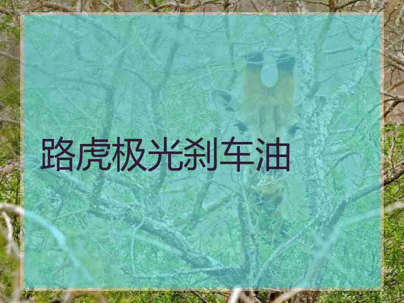 路虎极光刹车油