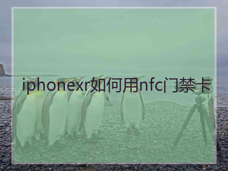 iphonexr如何用nfc门禁卡