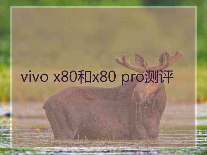 vivo x80和x80 pro测评