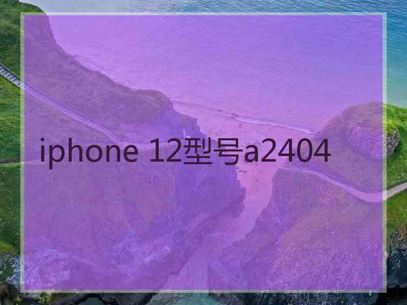 iphone 12型号a2404