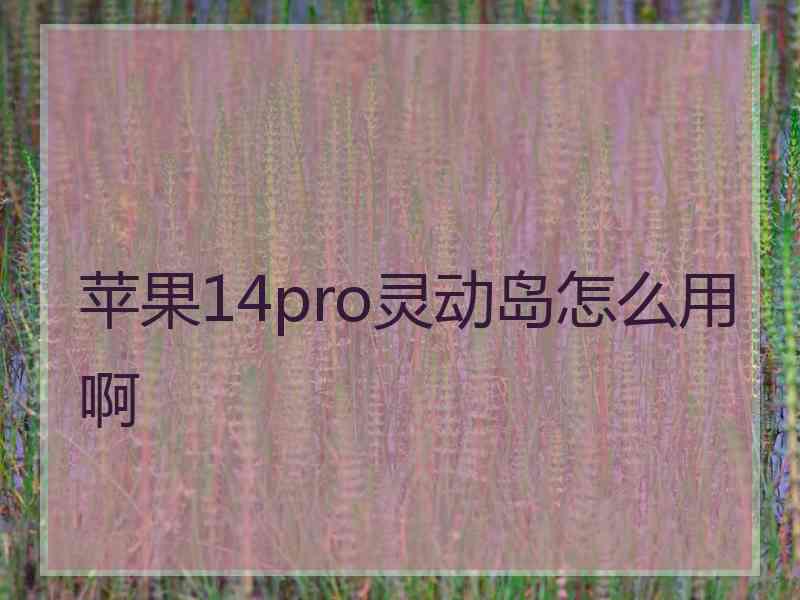 苹果14pro灵动岛怎么用啊