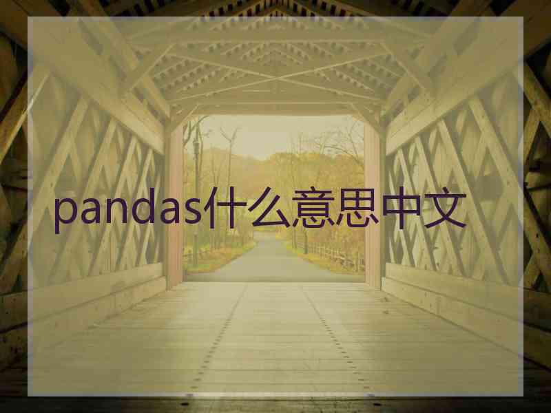 pandas什么意思中文