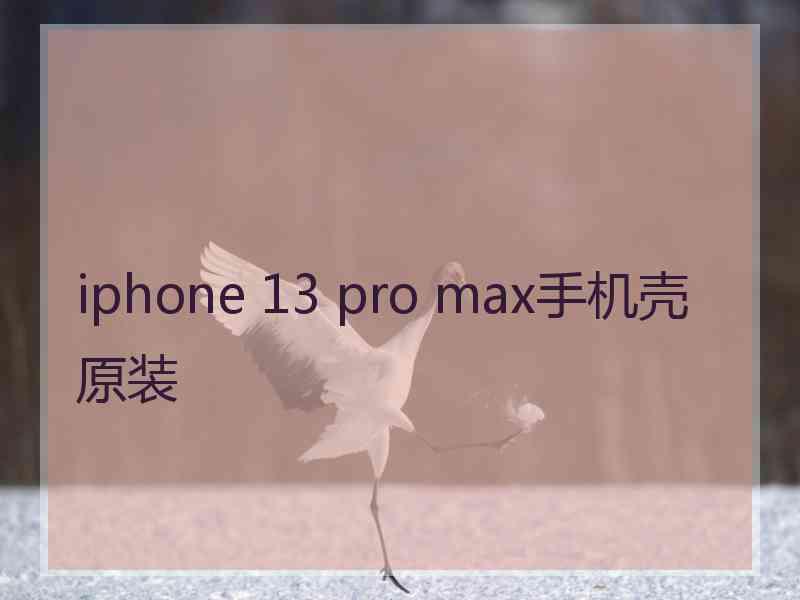 iphone 13 pro max手机壳原装