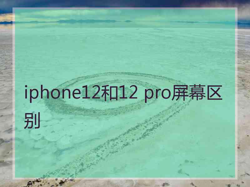 iphone12和12 pro屏幕区别