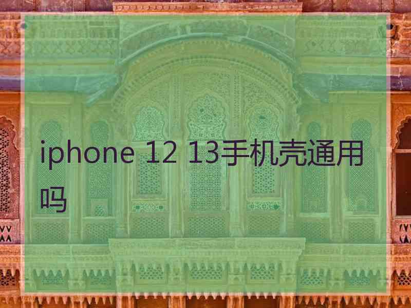 iphone 12 13手机壳通用吗