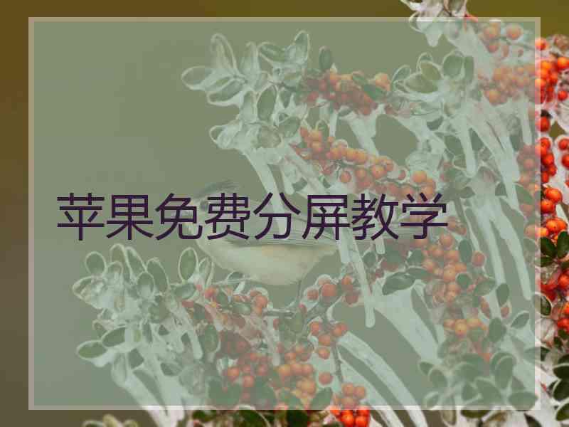 苹果免费分屏教学