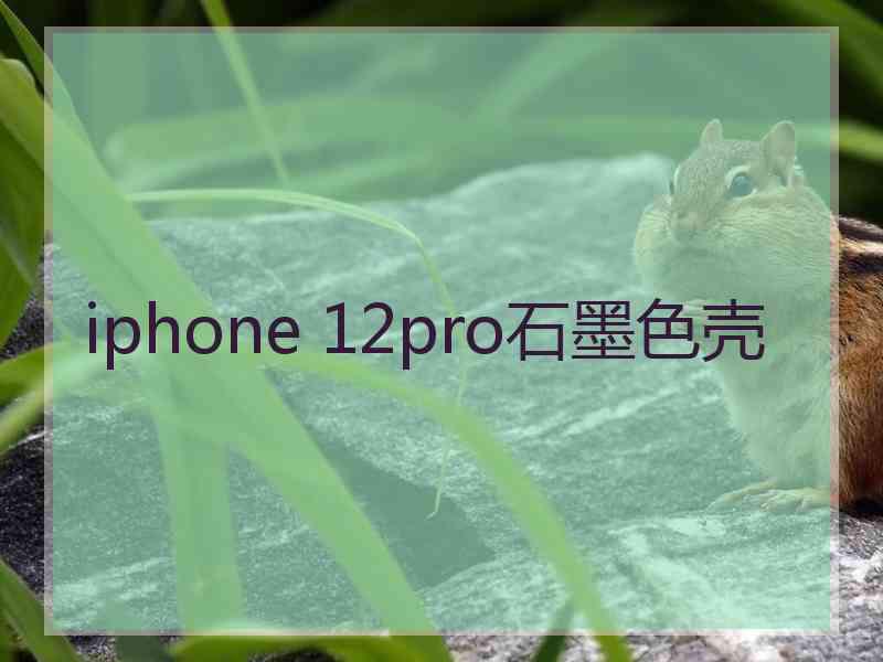 iphone 12pro石墨色壳