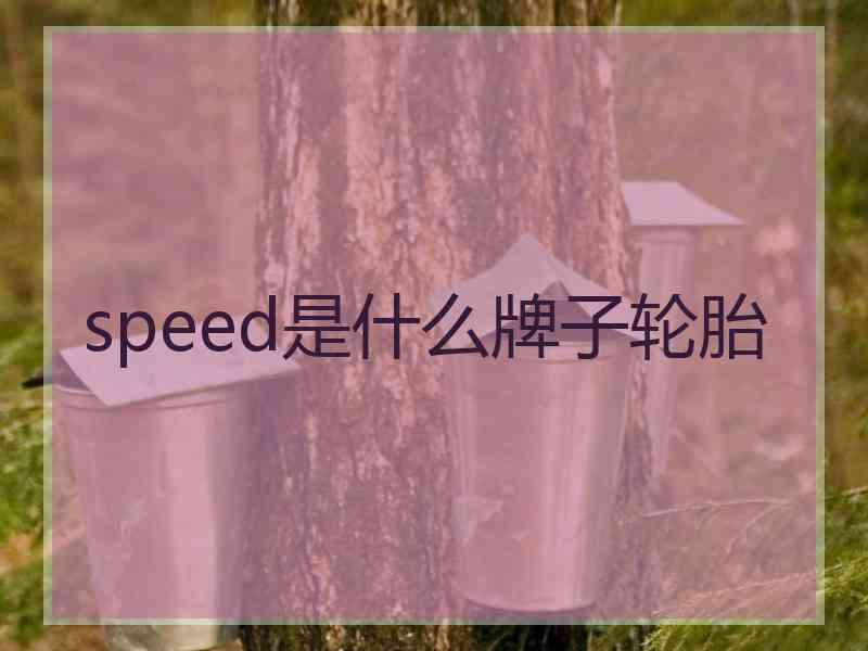 speed是什么牌子轮胎