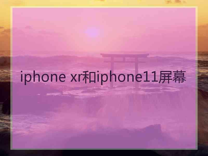 iphone xr和iphone11屏幕