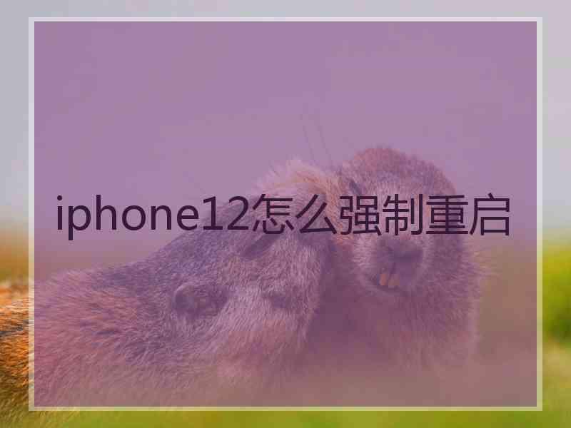 iphone12怎么强制重启