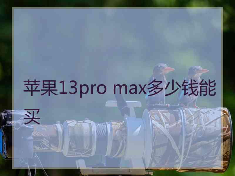 苹果13pro max多少钱能买