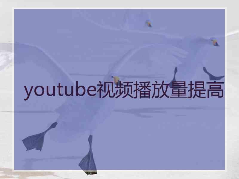 youtube视频播放量提高