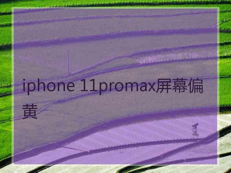 iphone 11promax屏幕偏黄