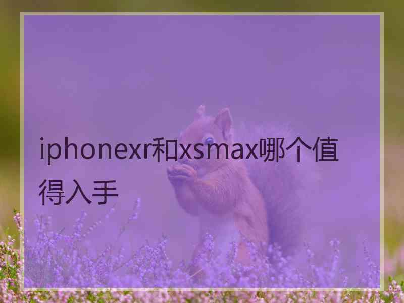 iphonexr和xsmax哪个值得入手