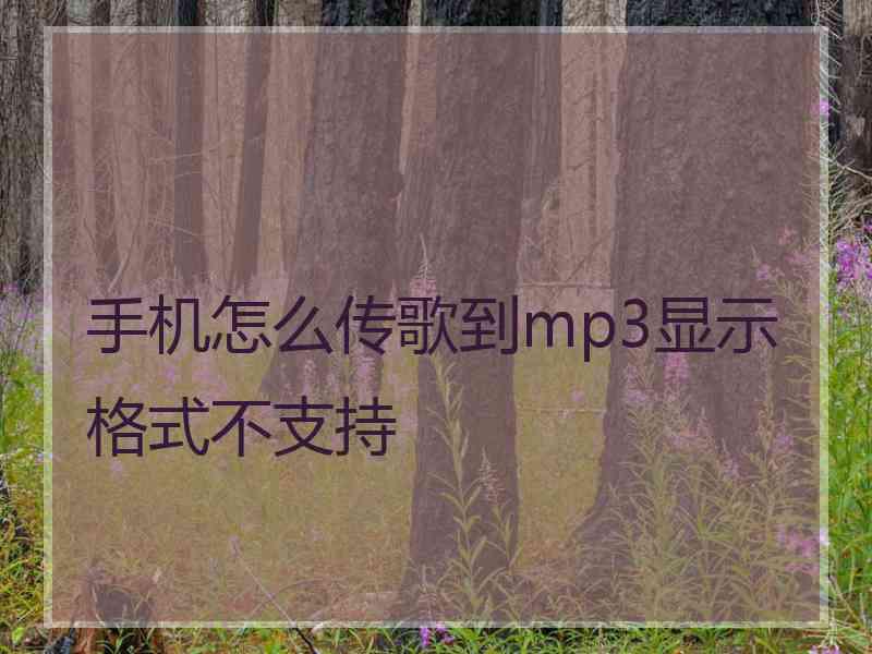 手机怎么传歌到mp3显示格式不支持