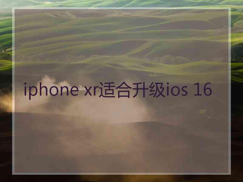 iphone xr适合升级ios 16