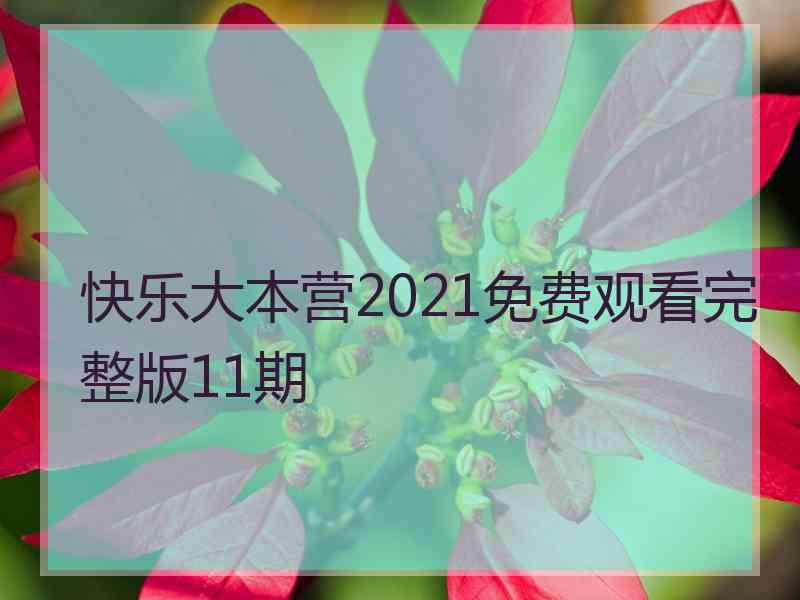 快乐大本营2021免费观看完整版11期