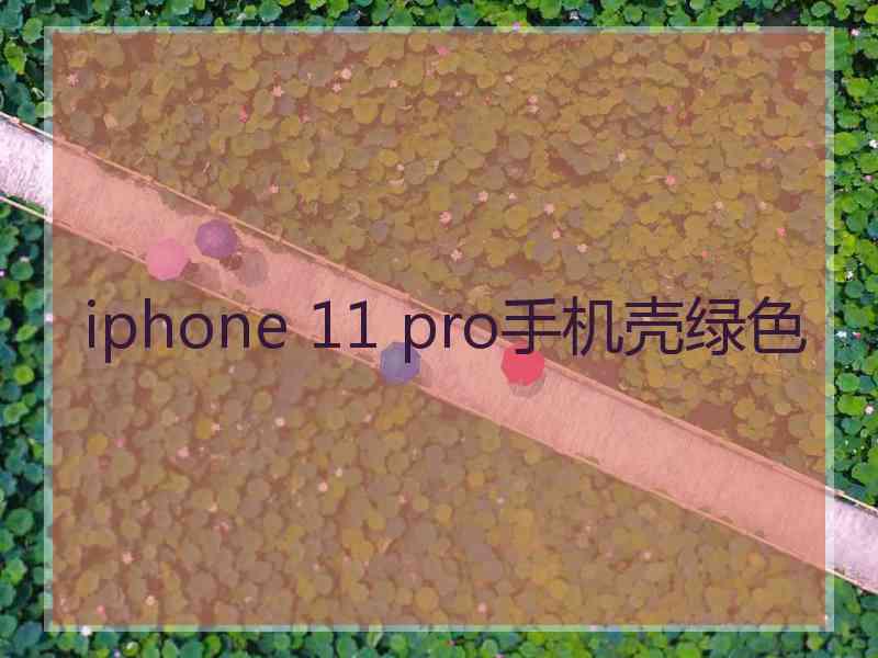 iphone 11 pro手机壳绿色