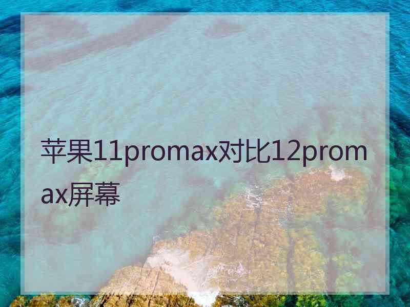 苹果11promax对比12promax屏幕