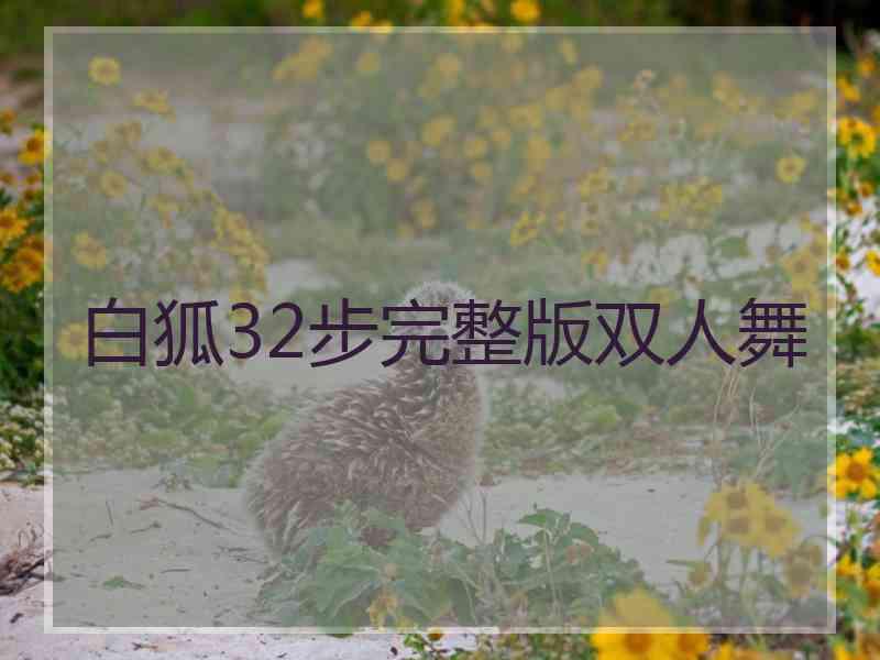 白狐32步完整版双人舞