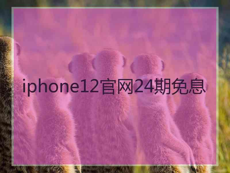 iphone12官网24期免息