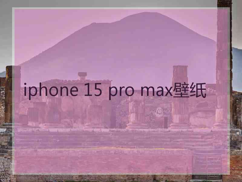 iphone 15 pro max壁纸