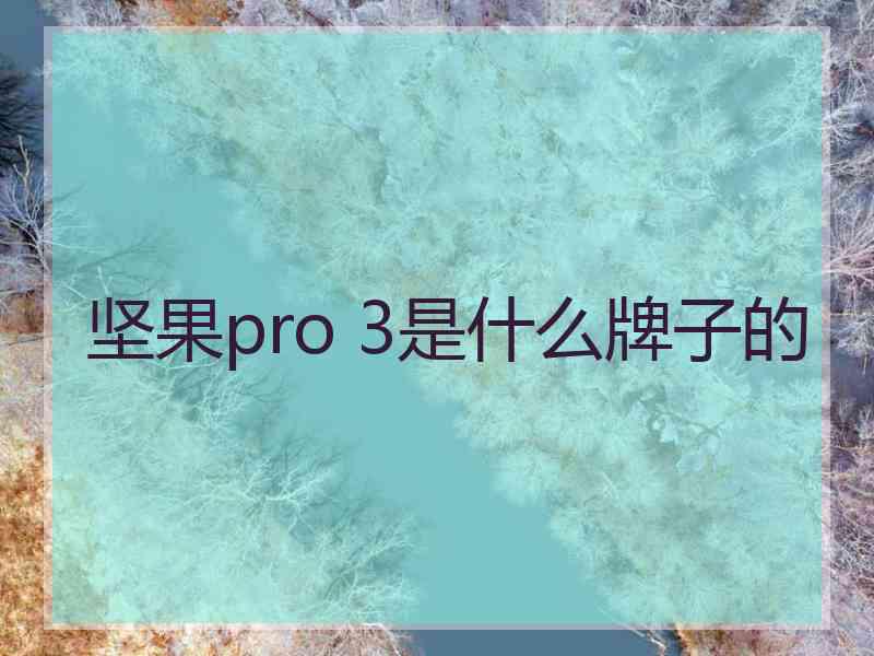 坚果pro 3是什么牌子的