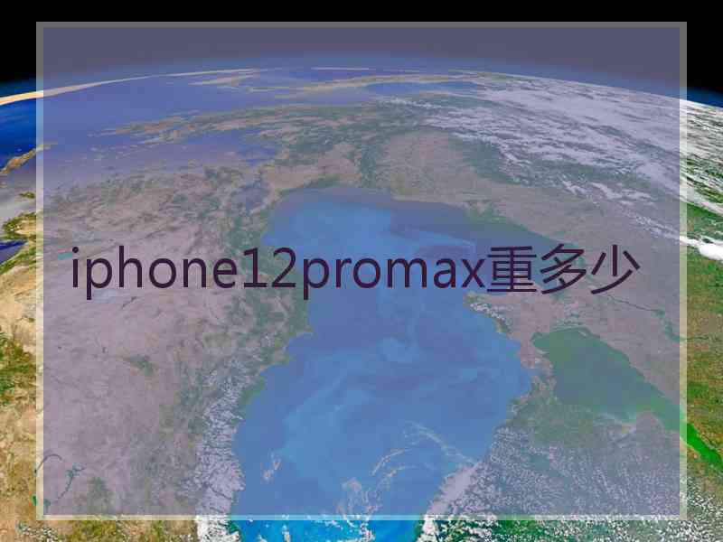 iphone12promax重多少