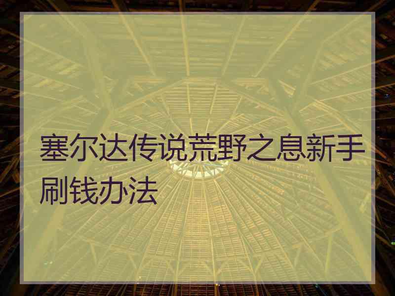 塞尔达传说荒野之息新手刷钱办法