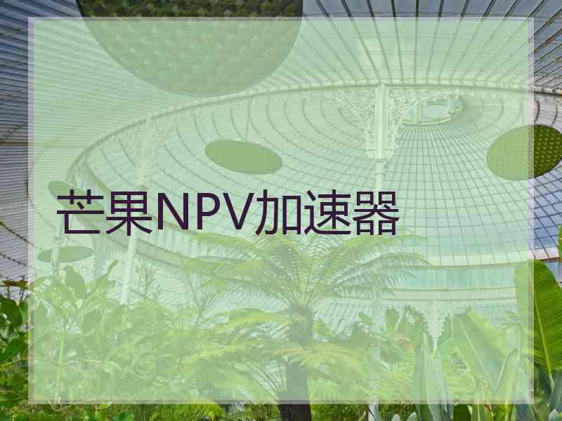 芒果NPV加速器