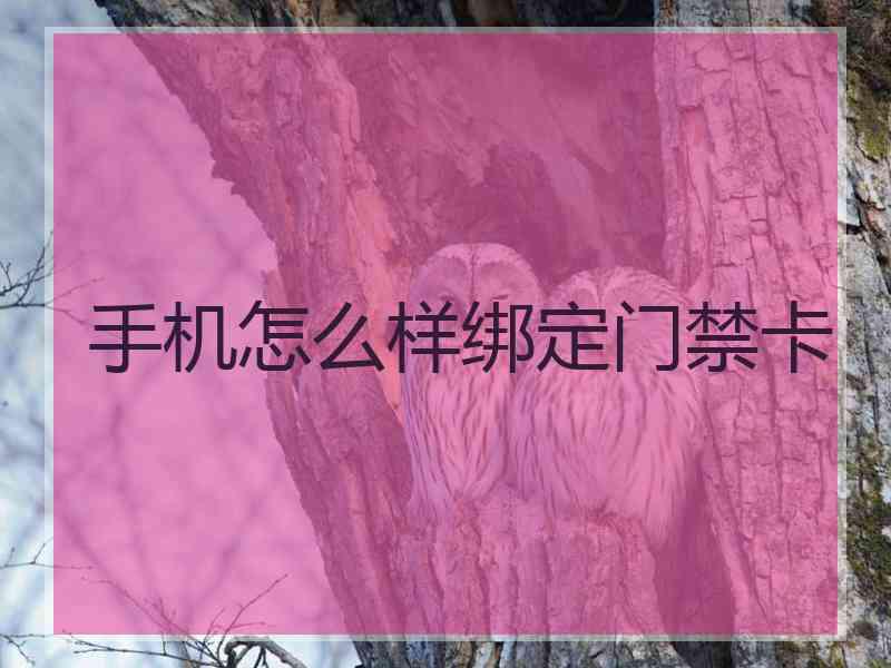 手机怎么样绑定门禁卡