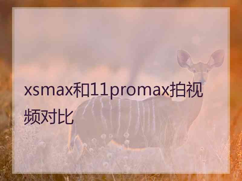 xsmax和11promax拍视频对比