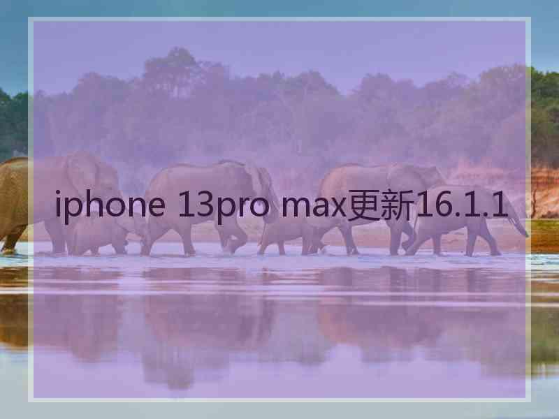 iphone 13pro max更新16.1.1