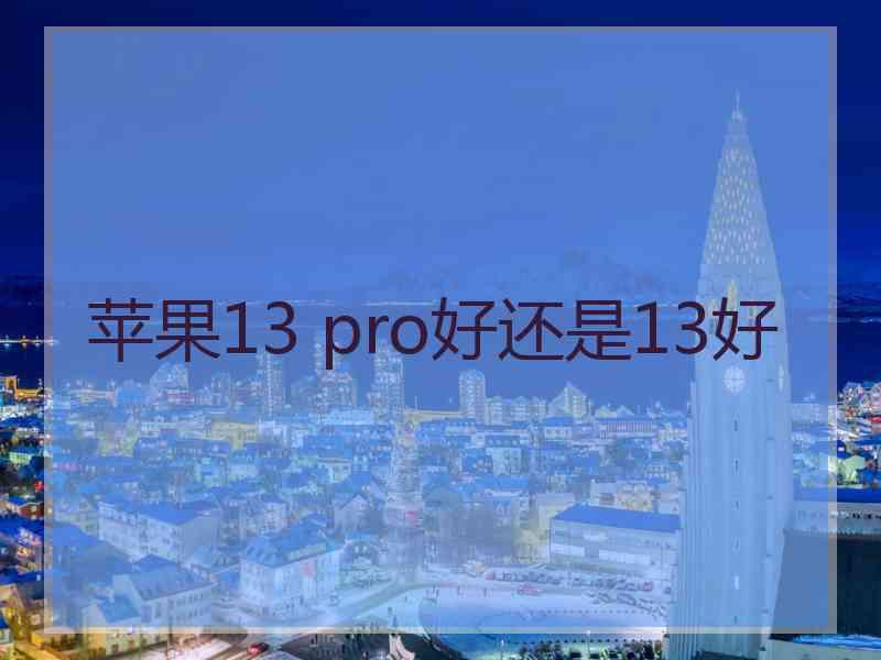 苹果13 pro好还是13好