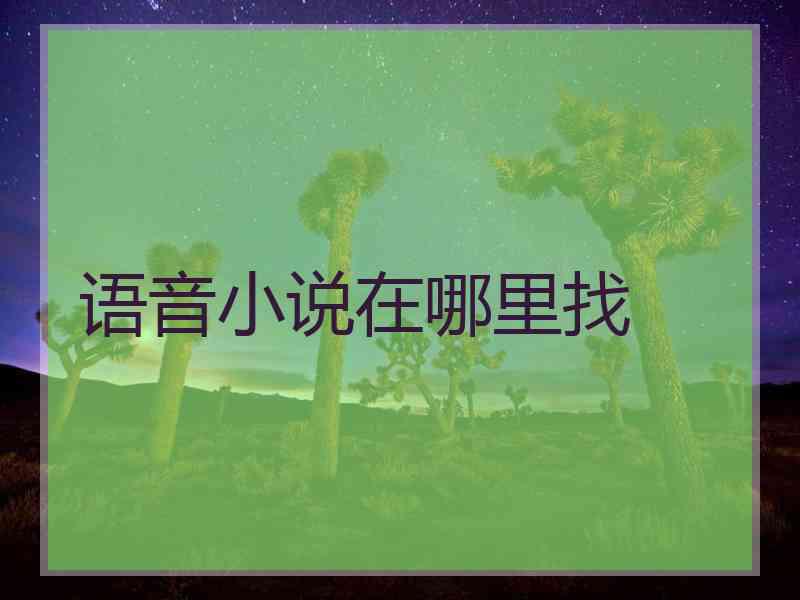 语音小说在哪里找