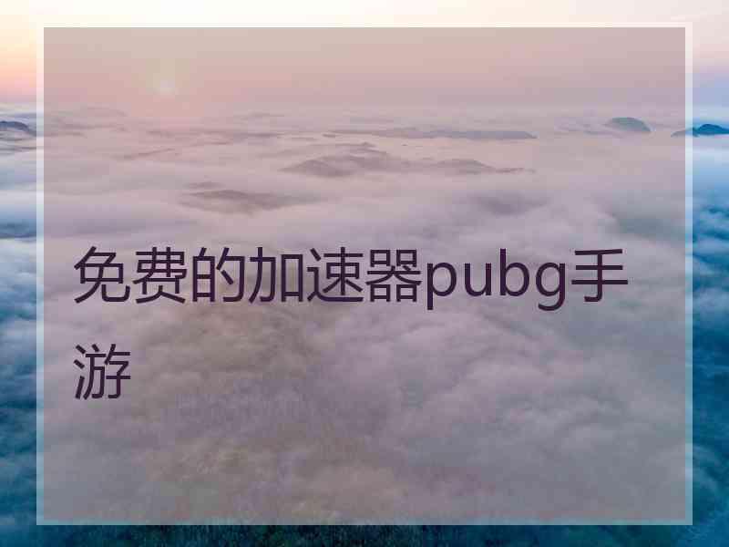 免费的加速器pubg手游