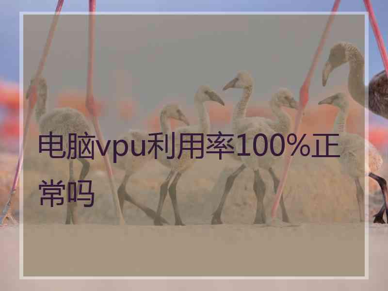 电脑vpu利用率100%正常吗