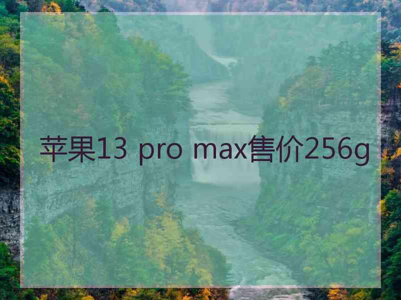 苹果13 pro max售价256g